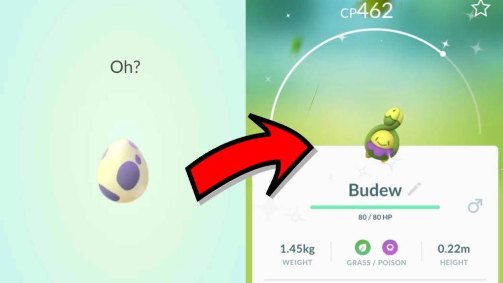  Pokémon GO Budew 