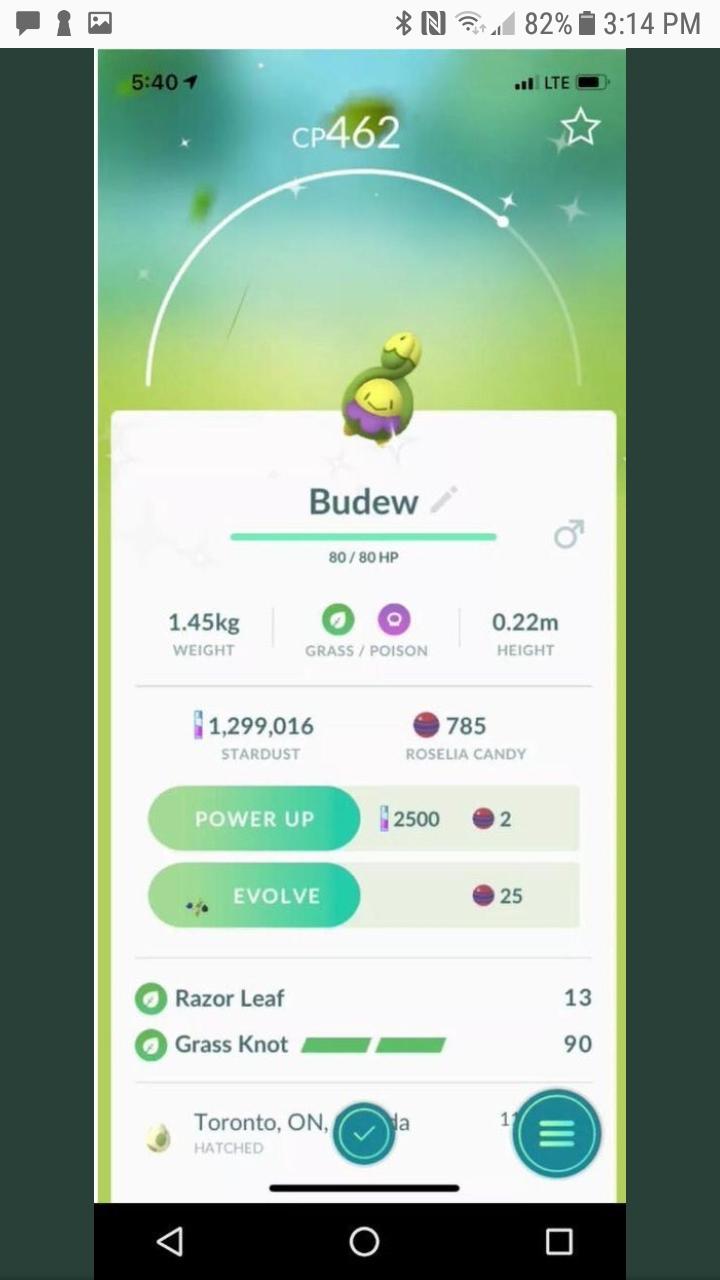  Pokémon GO Budew 