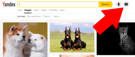 Yandex-Google