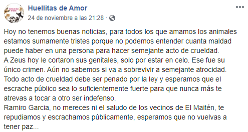 Maltrato animal 